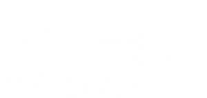 Partner Name