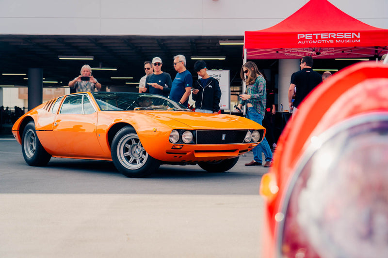 Forza Blog Gallery Image