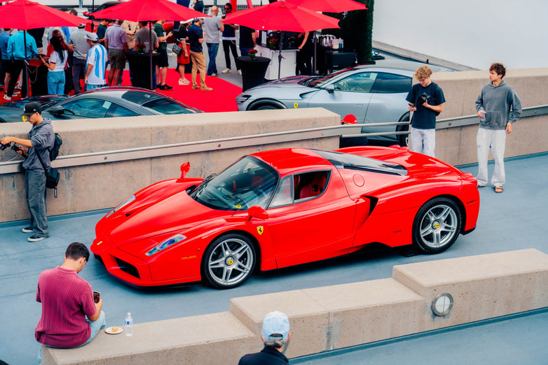 Forza Blog Gallery Image