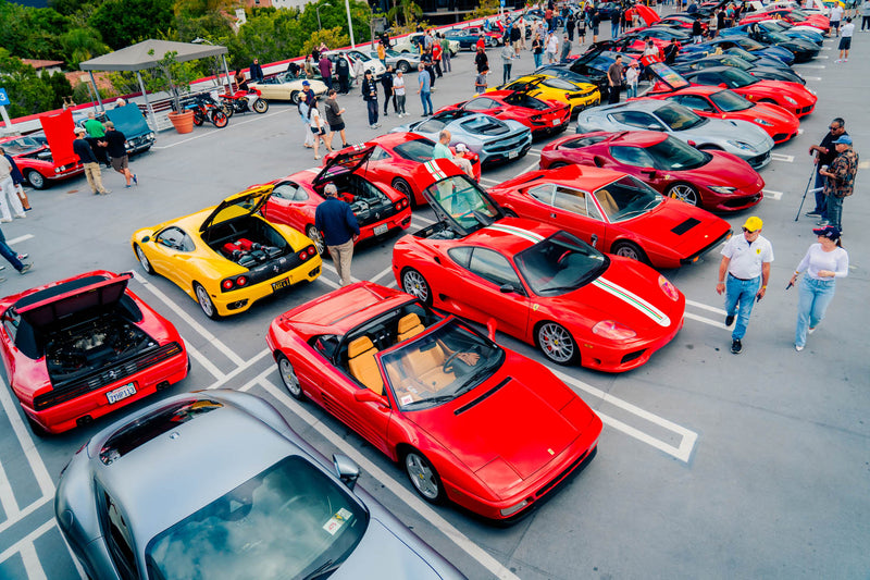 Forza Blog Gallery Image
