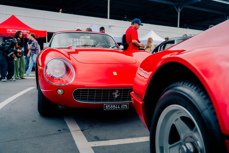 Forza Blog Gallery Image