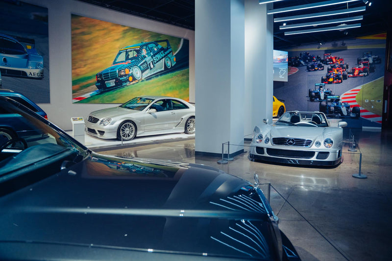 World-Class  - Gallery 3