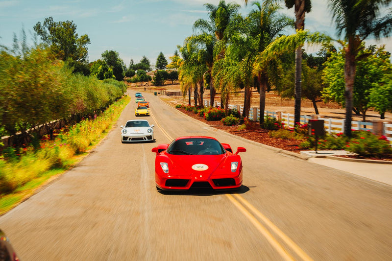 Forza Blog Gallery Image
