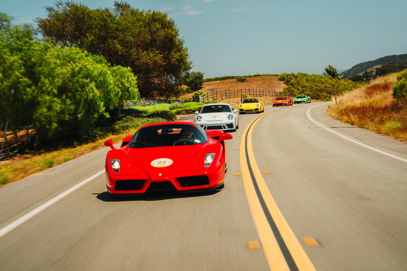 Forza Blog Gallery Image