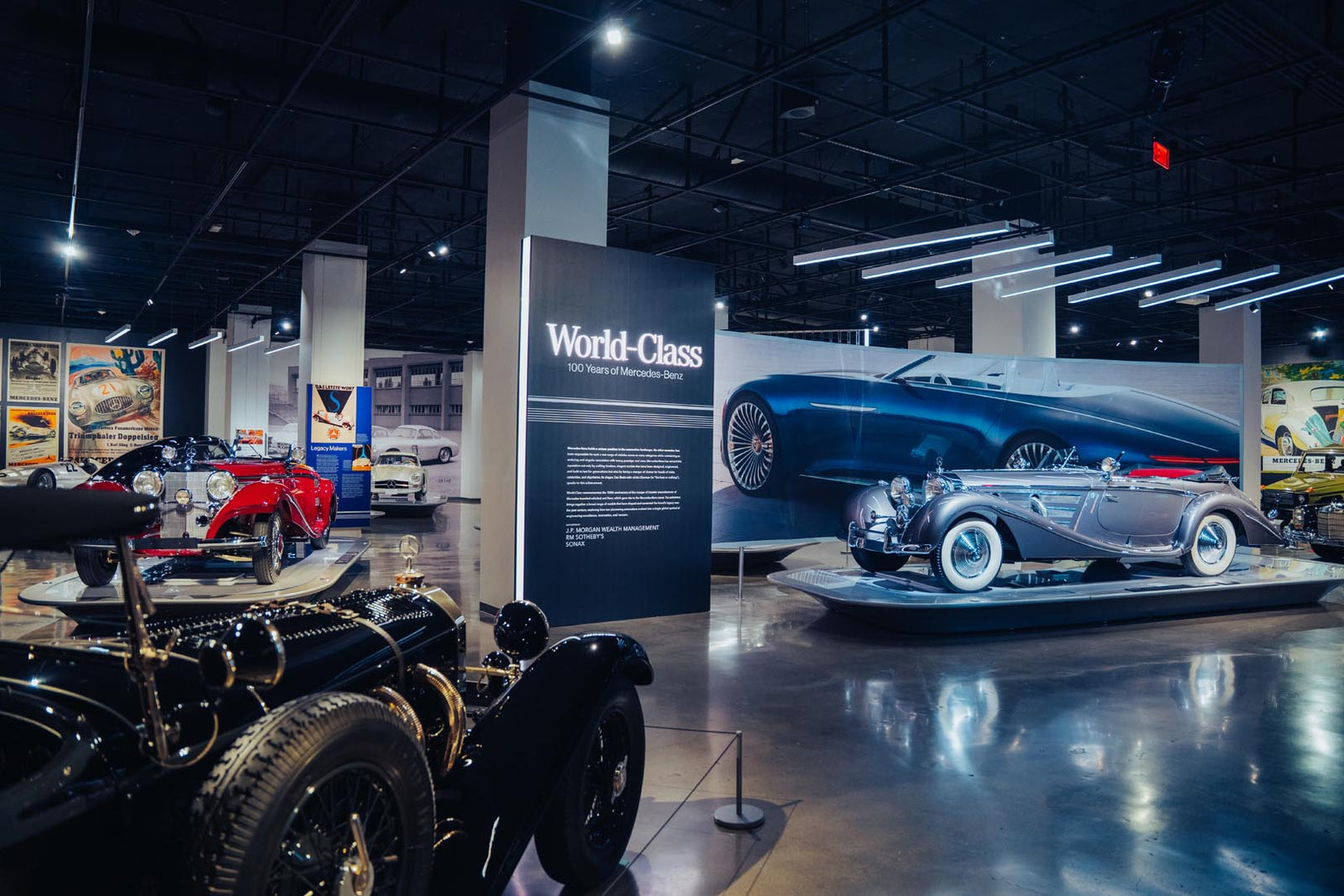World-Class  - Gallery 8