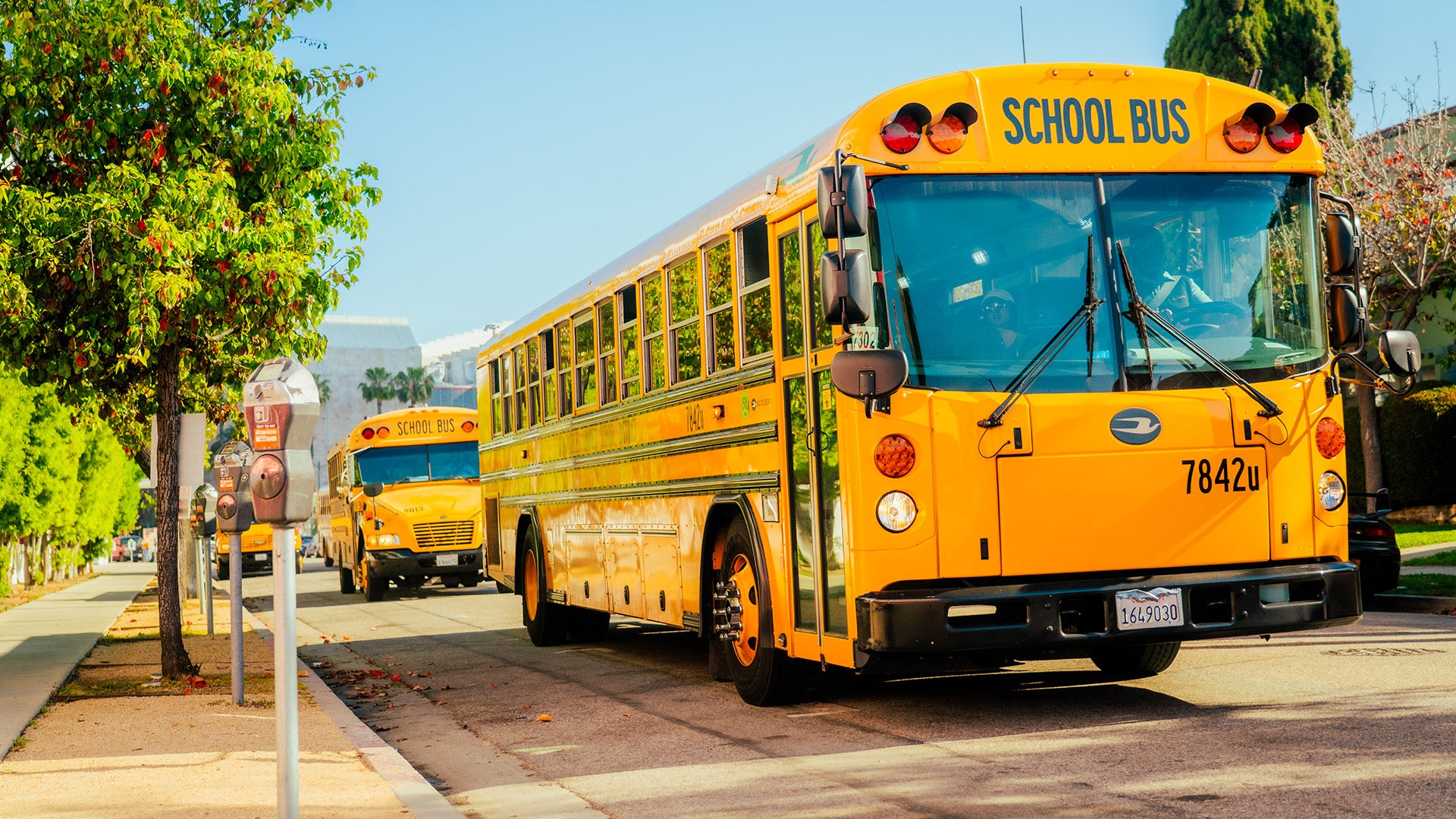 EDUCATOR NEWSLETTER