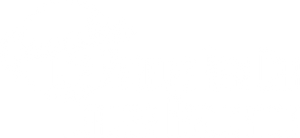 Partner Name