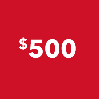 Load image 1 in gallery view. $500 Donation